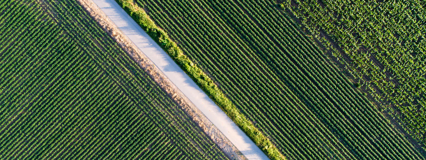 From Farm to Tablet: Our Purity Testing