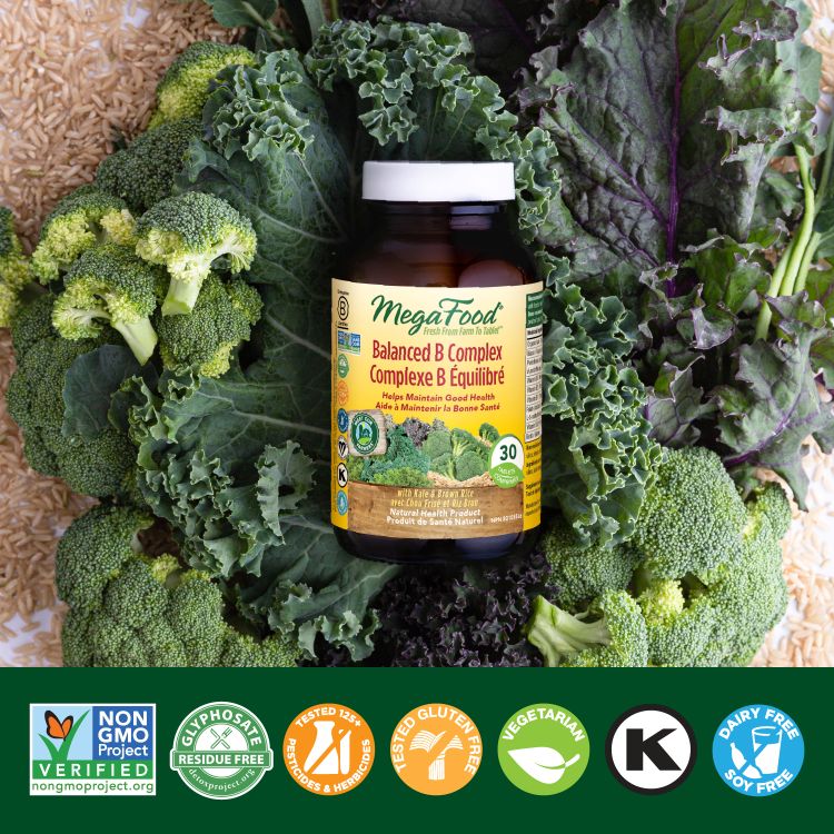 Complexe B équilibré